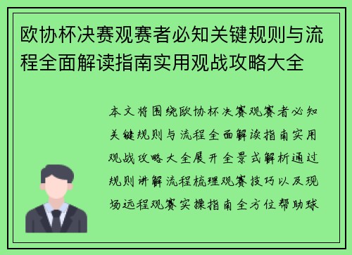 欧协杯决赛观赛者必知关键规则与流程全面解读指南实用观战攻略大全