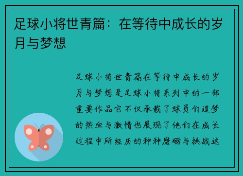 足球小将世青篇：在等待中成长的岁月与梦想